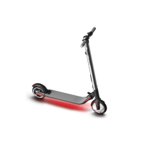 Электросамокат Ninebot Kick Scooter ES 2 Черный Серый